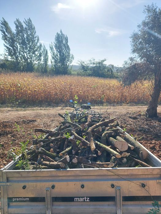 Venda de lenha de carvalho e oliveira