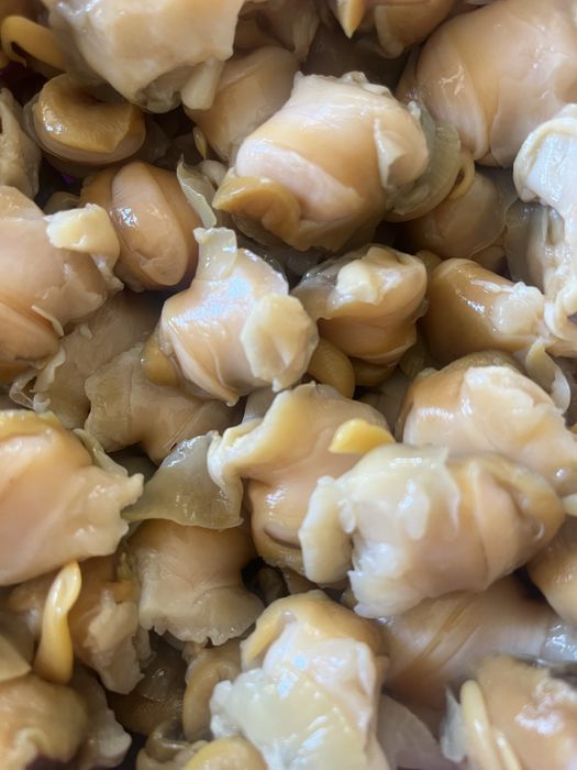 Свежая рапана Черноморская ОПТ