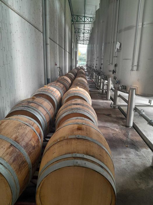 Port Casks/Barris de Vinho Porto/Pipos de vinho do Porto