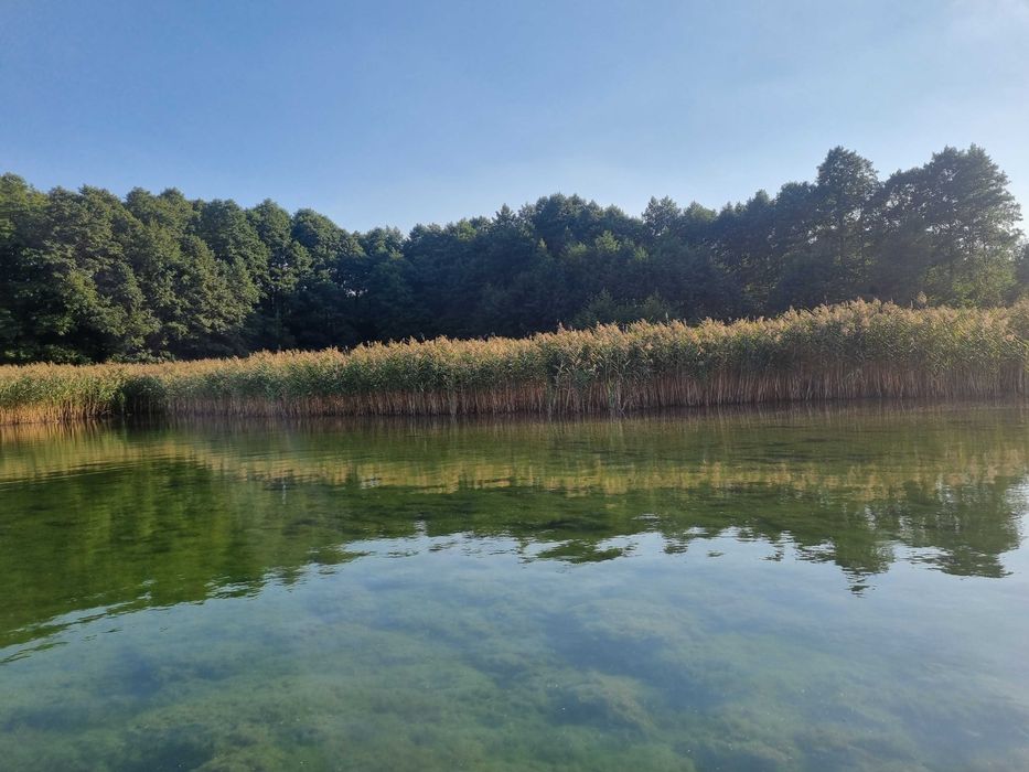 Pensjonat u Mietka - Narty, Mazury, Nad samym jeziorem