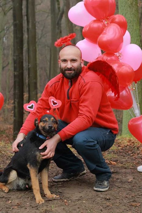 MUMIN - 1,5-roczny, łagodny i czuły wobec ludzi. [FILMIKI}