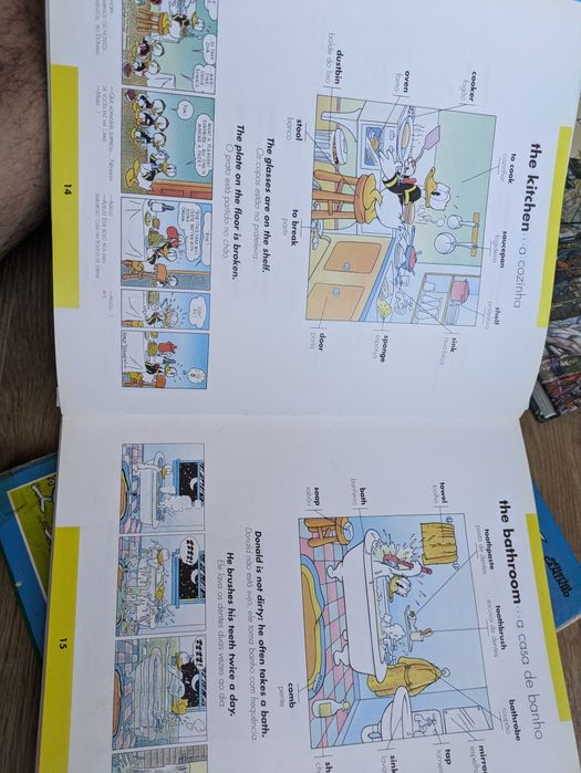 Dicionário Ilustrado Inglês Português