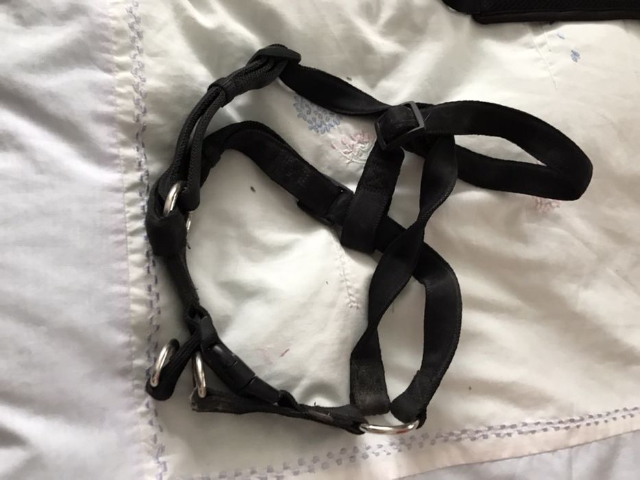 поводки для собаки