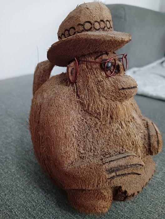 Macaco Chapéu Óculos Coco República Dominicana