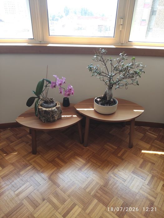 Conjunto de mesas de centro de sala