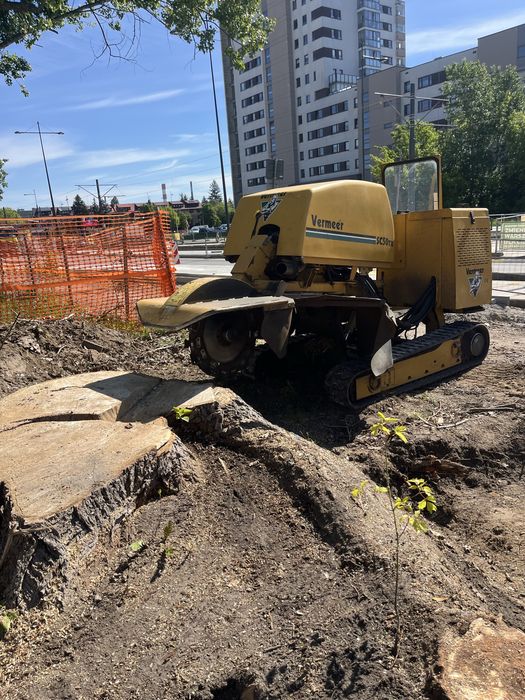 Frezowanie pni frezarka karczownik karp usuwanie wyrywanie