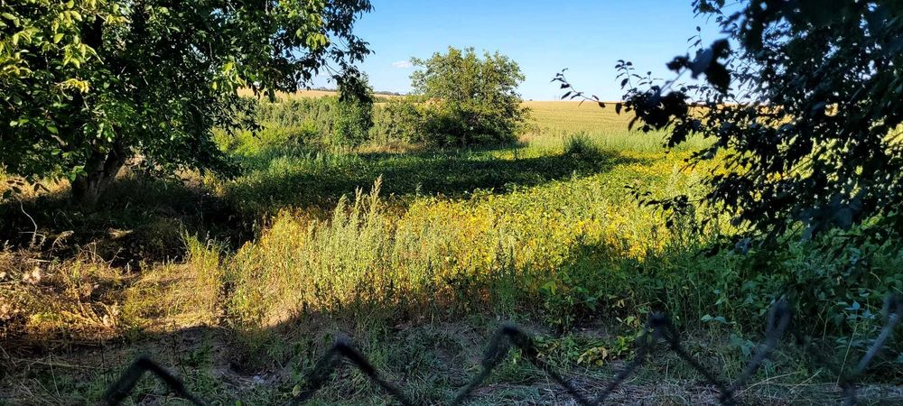 Здам в оренду будинок в с. Сокиринці Хмельницької області