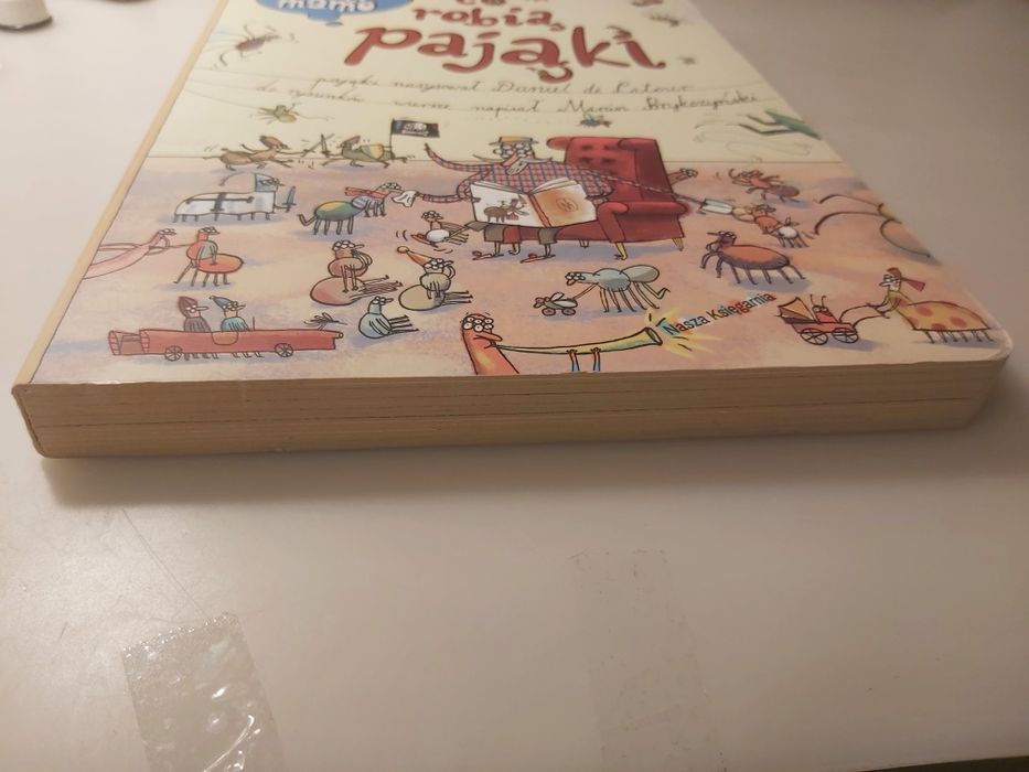 Co robią pająki Nasza Księgarnia książka