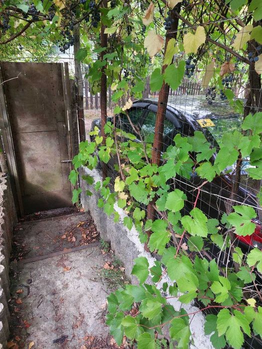 Продам дачу с. Черемушне кооператив  біля річки Сіверський Дінець