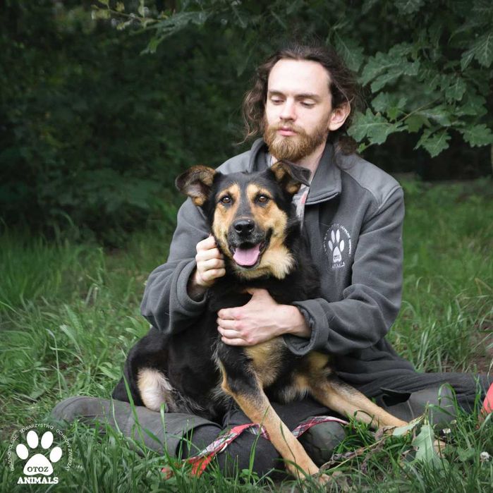 Miła i radosna sunia Niusia do adopcji!