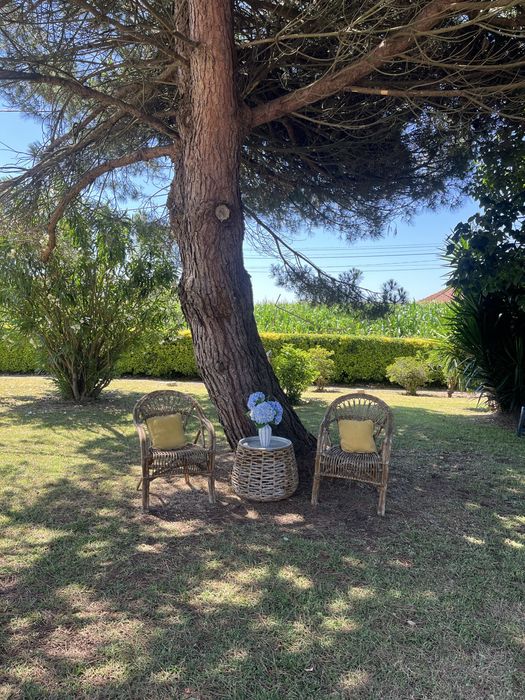 Cadeiras de jardim