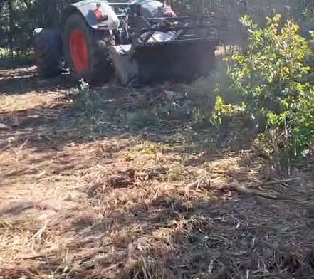 Mulczowanie Wycinka drzew Frezowanie Karczowanie Mulczer Wgłębny Leśny