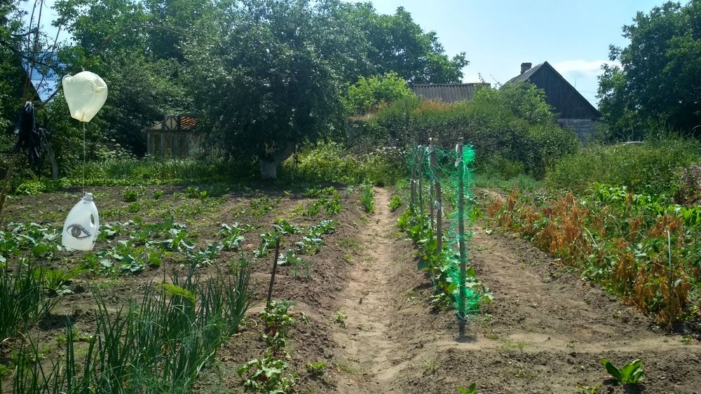 Продам ділянку з будинком