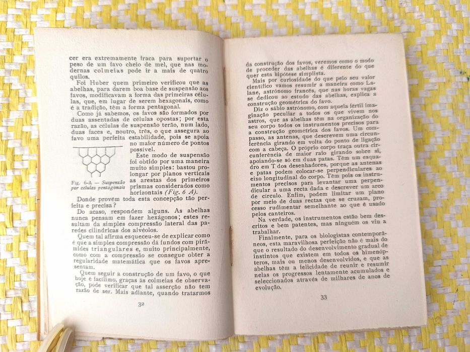 UM POVO MIÚDO - As abelhas – Eduardo Sousa D'Almeida