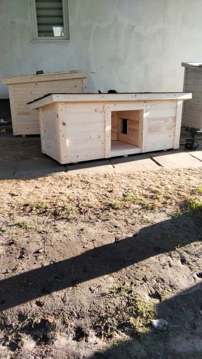 Буда будка для котиків для кота