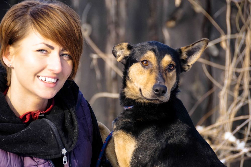 Iłek - psiak w typie owczarek