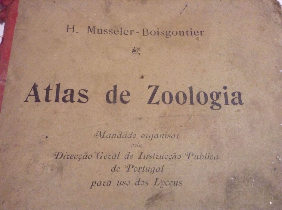 Atlas de Zoologia