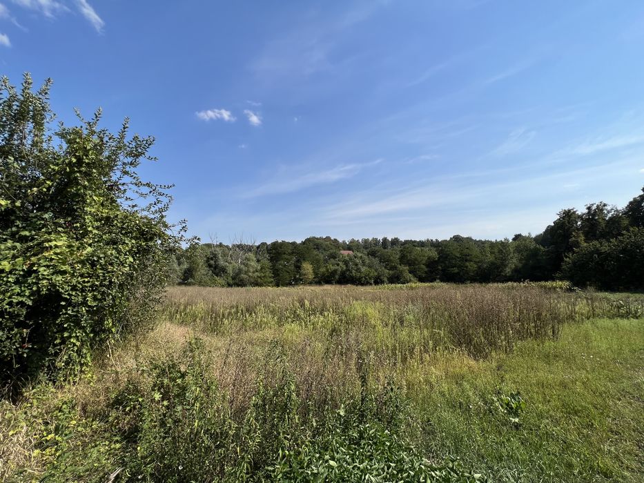 Делимый участок Рославичи рядом с озером