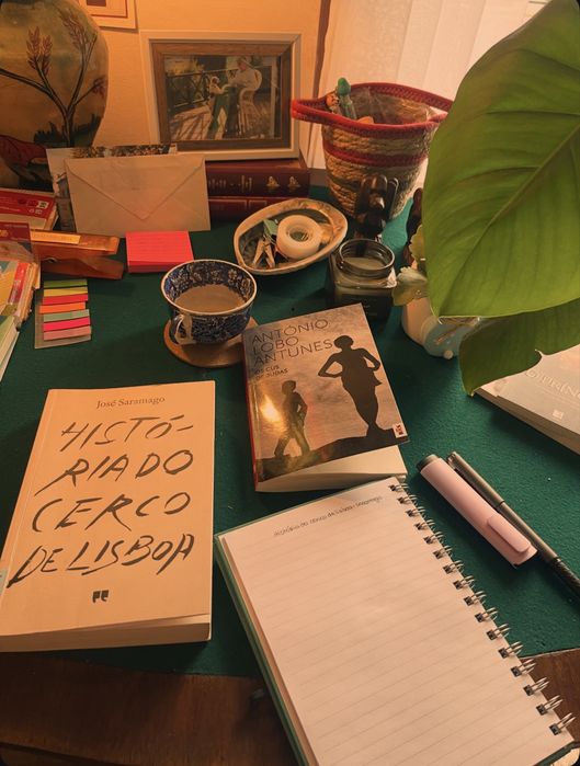 Desbloquear a leitura-ler literatura