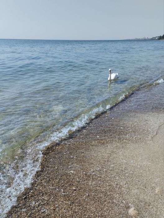 Здам житло  в Одесі біля моря