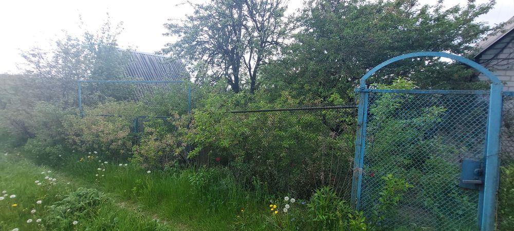 Продам дачу в Солоницевке