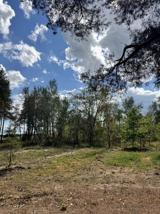 Участок 6,75 сотки на опушке леса.