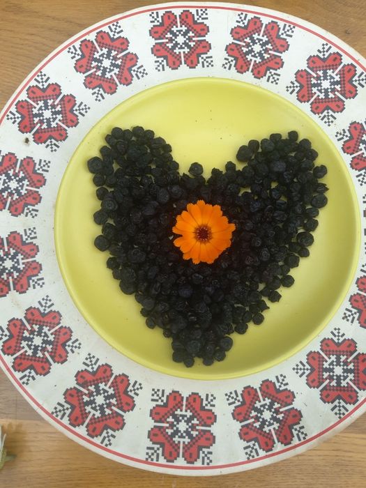 Чорниця сушена з Карпат