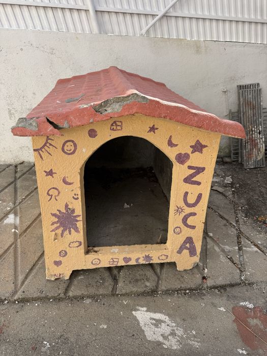 Casora do cao de rua