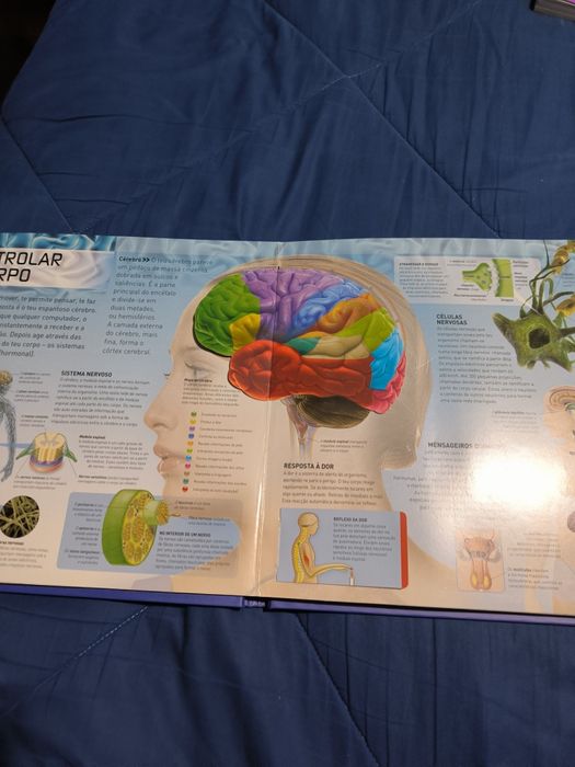Livro didático "Estou Vivo", sobre o corpo humano