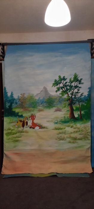 Fundos fotográficos