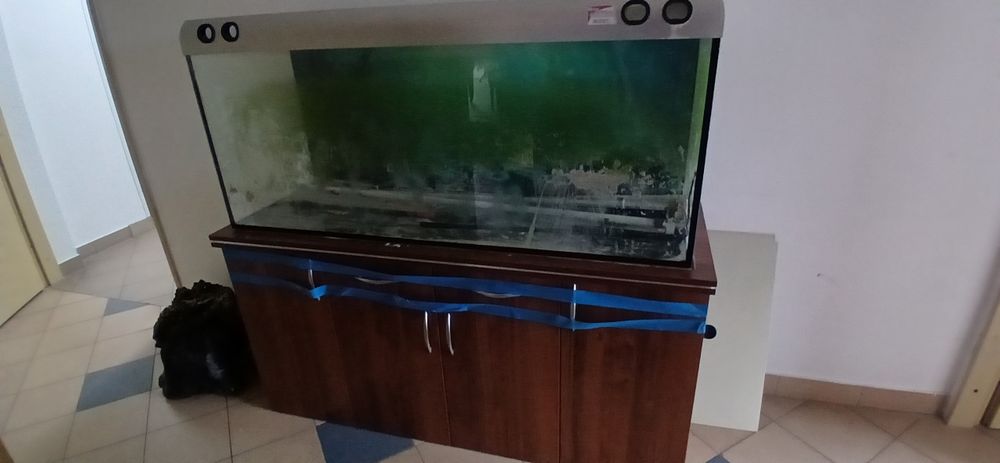 Akwarium 450 litrów + szafka i pokrywa.
