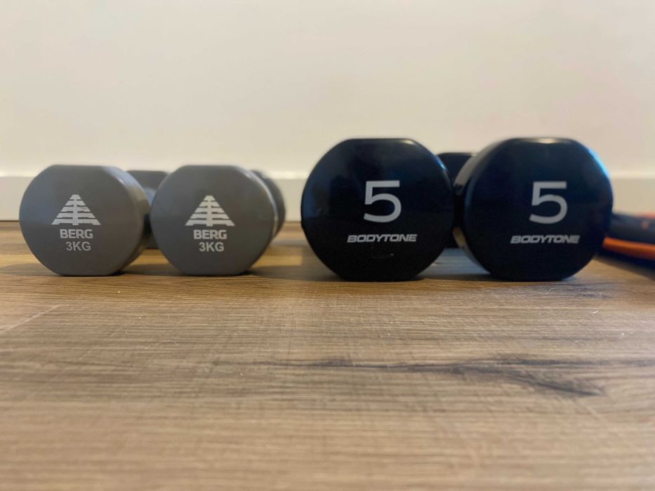 Exercise weights