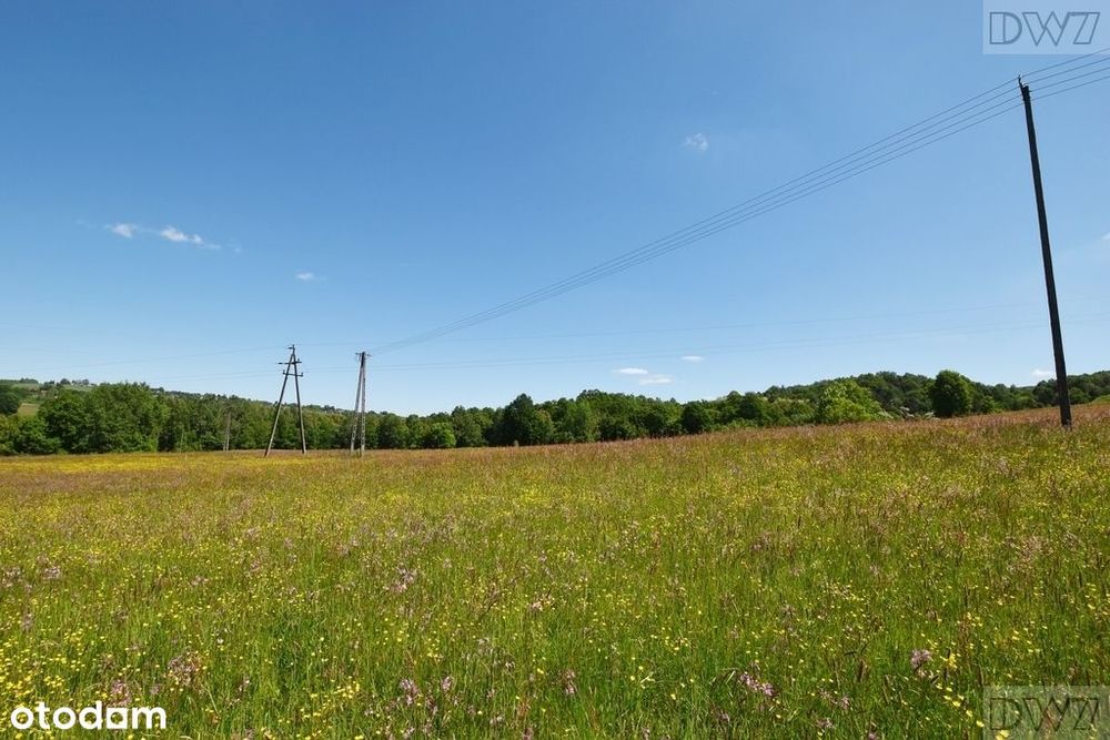 Działki budowlane na sprzedaż, Tarnawa