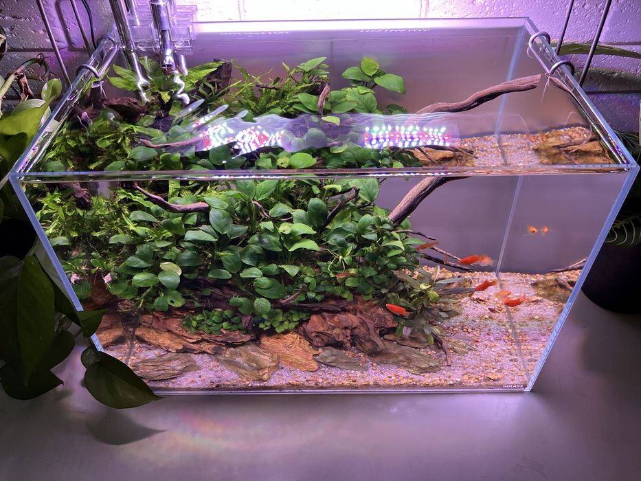 Аквариум Aquascape