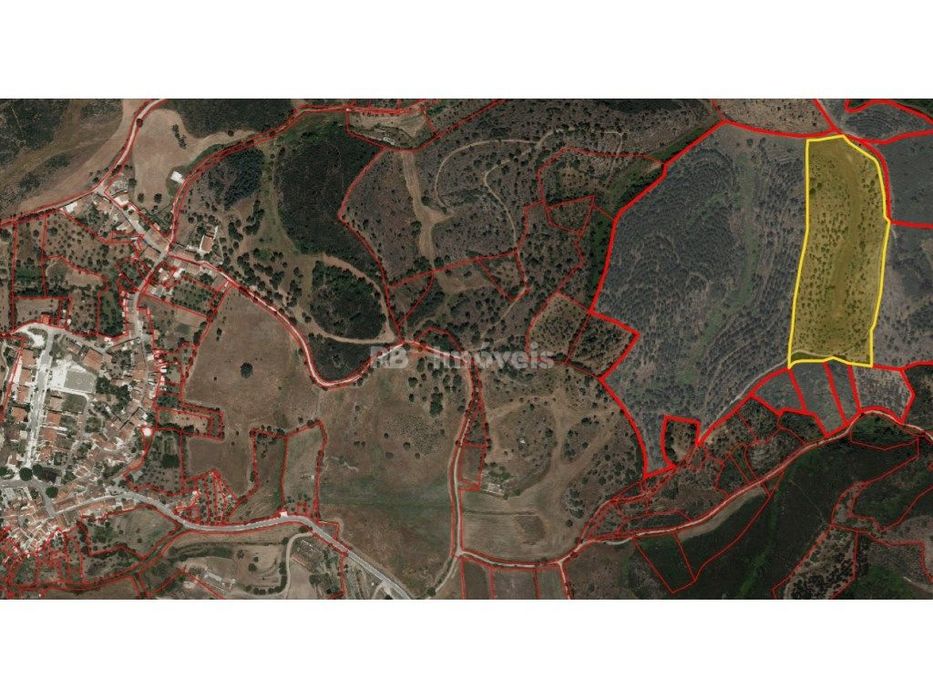 terreno rústico com 27000m2 - Cacheiro - Atalaia, Gavião — Gavião E Atalaia, Portalegre