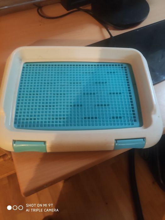 Лоток для собачки