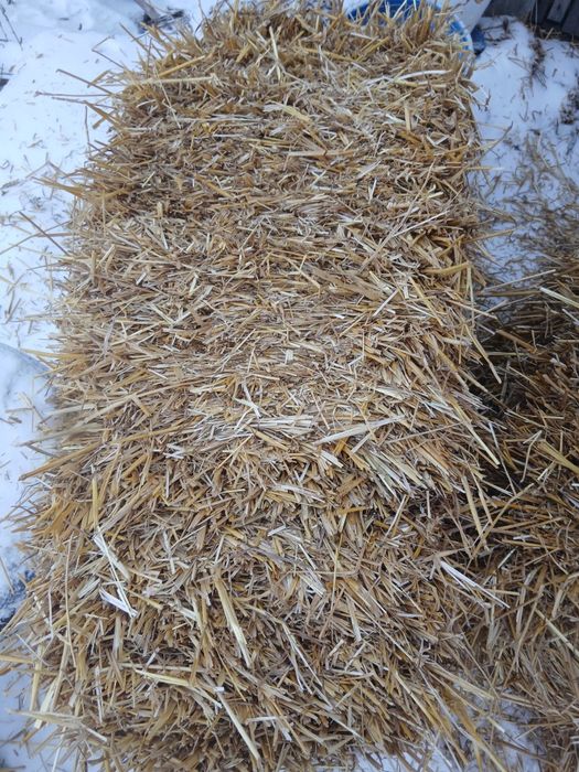 Продам солому...