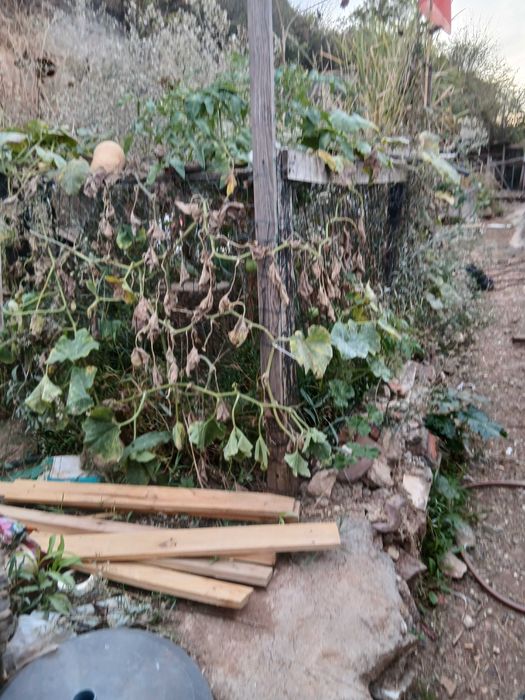 Vende se Terreno Rustico Unhos