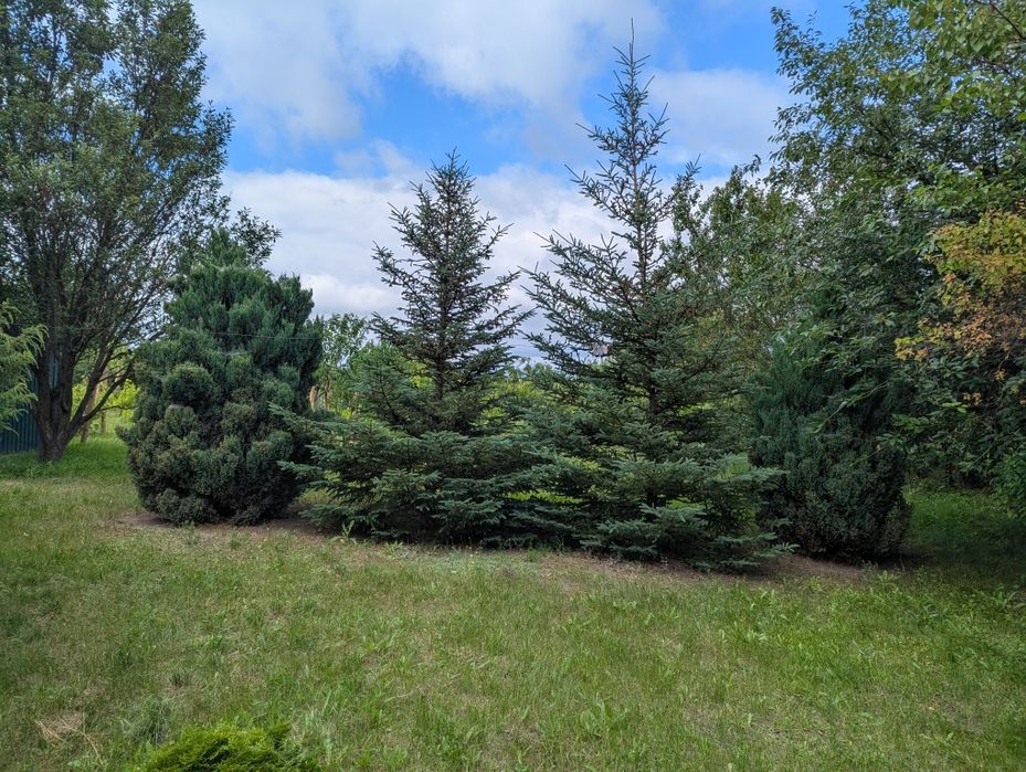 Продаж будинку в місті Корсунь Шевченківський