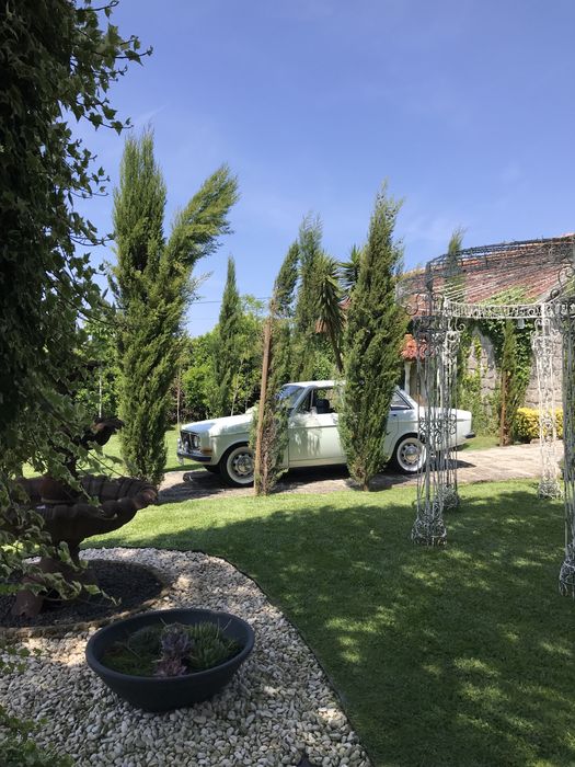 Carro clássico para casamentos e eventos