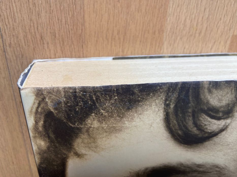 Livro Diários Al Berto