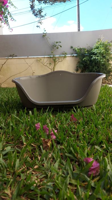 Cama cão pequeno em Pvc / Polipropileno resistente