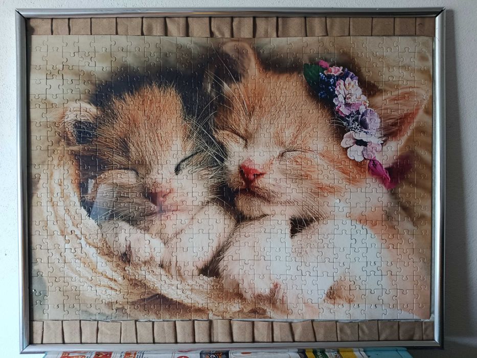 Puzzle quadro livro didático RUCCA e os animais de estimação