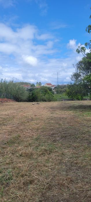 Manutenção de jardins/Limpeza de terrenos/Serviços Agrícolas