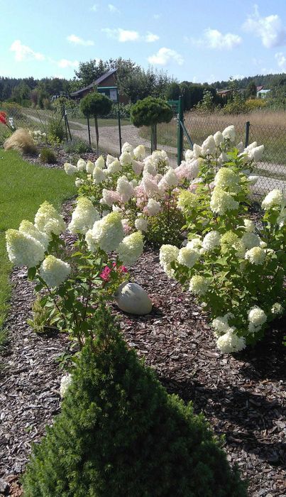 Działka rekreacyjna z PIĘTROWYM DOMKIEM!!!