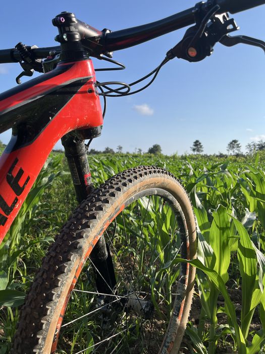 cannondale scalpel si carb 3