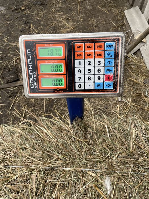 Продаю сіно в тюках