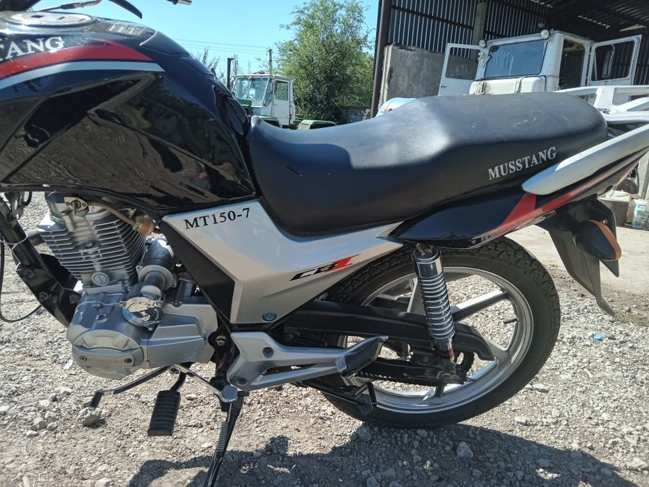 Чудовий Мустанг 150-7