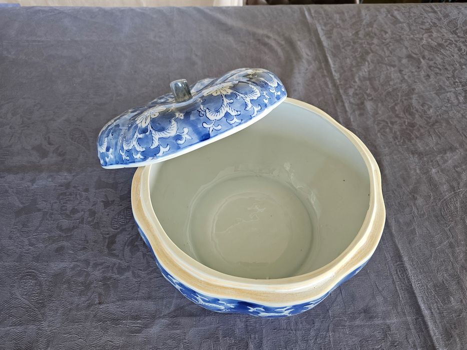 Terrina Azul Asiatica