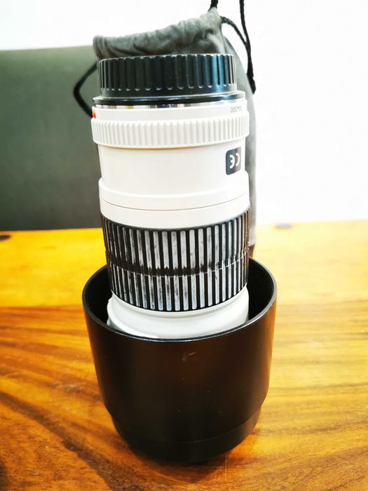 Canon EF 70–200mm f/4L USM Lens